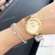 Replica Cartier Pasha de 35mm Lady watch Leopard Strap (5)_th.jpg